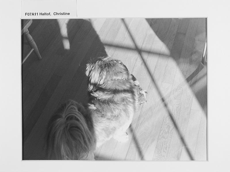 F07 FP_055